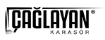 site logo